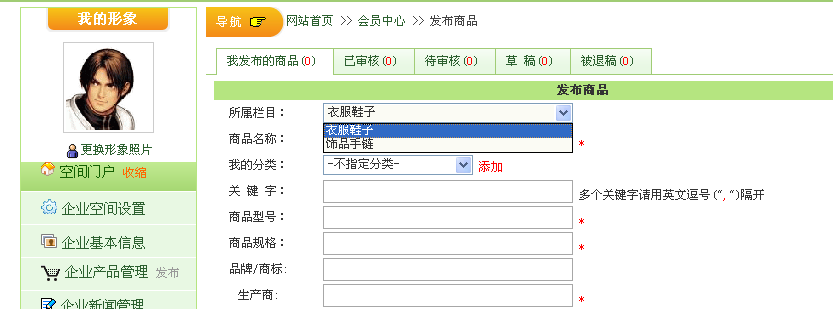 12、KesionCMS空间门户宣布企业产品 第 5 张